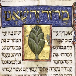 Hebrew Manuscripts