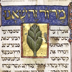 Hebrew Manuscripts
