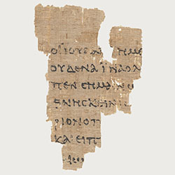 Papyri collection