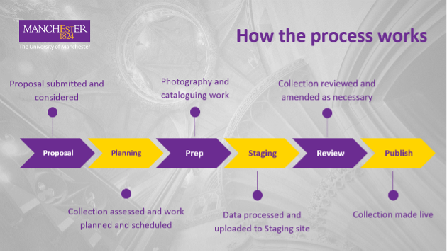 MDC Process